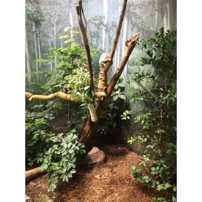 Watch Just Amber Bihhhhh..'s leaked NSFW photo on TwXstars