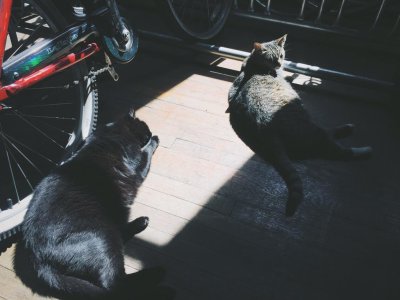 Watch BehindKink.com's leaked NSFW photo on TwXstars