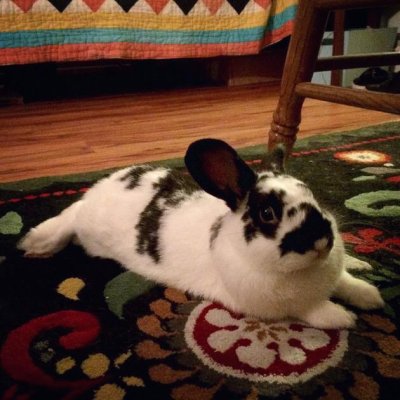 Watch theobanoth's leaked NSFW photo on TwXstars