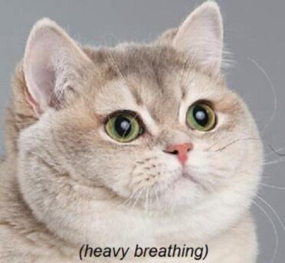 Watch BehindKink.com's leaked NSFW photo on TwXstars