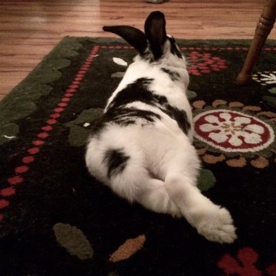 Watch theobanoth's leaked NSFW photo on TwXstars