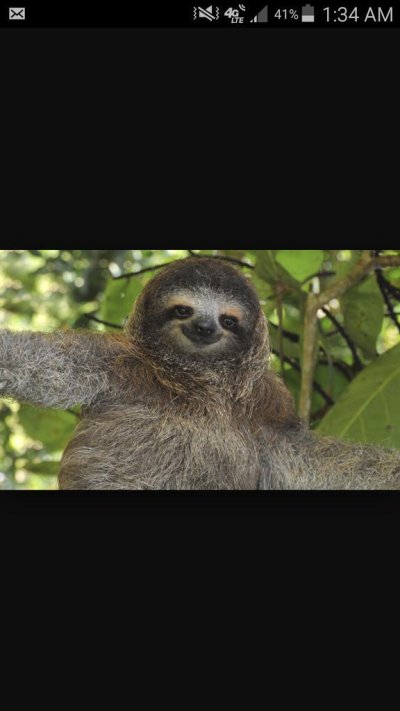 Watch Chris     OV       .'s leaked NSFW photo on TwXstars