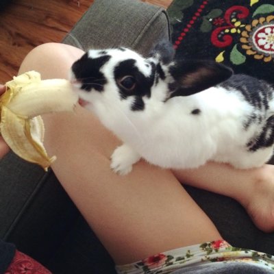 Watch theobanoth's leaked NSFW photo on TwXstars