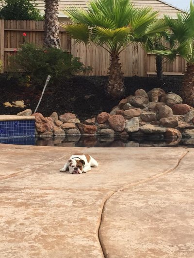 Watch Darling Danika's leaked NSFW photo on TwXstars