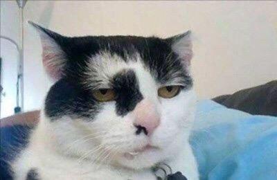 Watch theobanoth's leaked NSFW photo on TwXstars