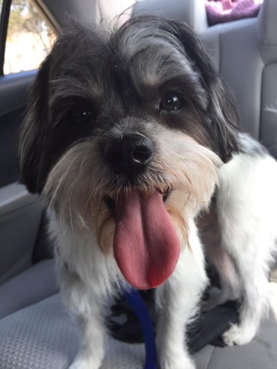 Watch D's leaked NSFW photo on TwXstars