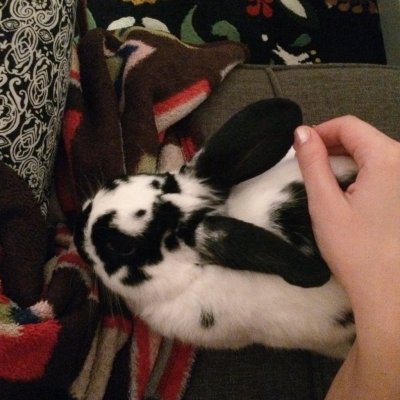 Watch theobanoth's leaked NSFW photo on TwXstars