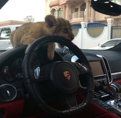 Watch KD the Gemini 🤍's leaked NSFW photo on TwXstars