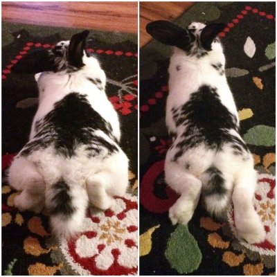 Watch theobanoth's leaked NSFW photo on TwXstars