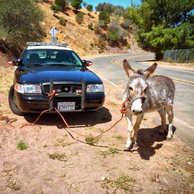 Watch CHP - West Valley's leaked NSFW photo on TwXstars