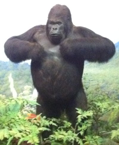 Watch GUARE's leaked NSFW photo on TwXstars