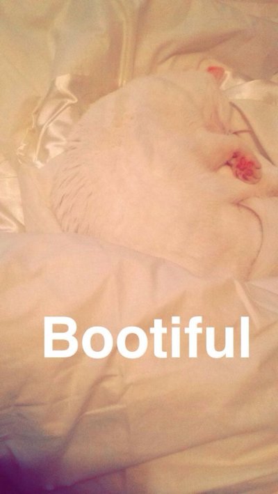 Watch MADDISON BLACK's leaked NSFW photo on TwXstars