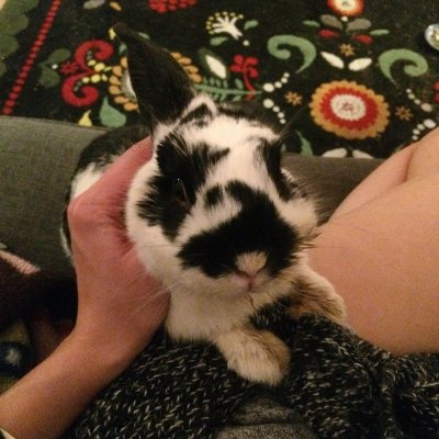 Watch theobanoth's leaked NSFW photo on TwXstars