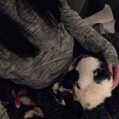 Watch theobanoth's leaked NSFW photo on TwXstars