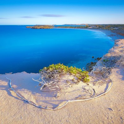 Watch South Australia's leaked NSFW photo on TwXstars