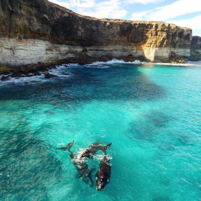 Watch South Australia's leaked NSFW photo on TwXstars