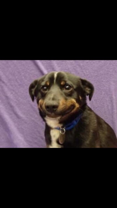 Watch Chris     OV       .'s leaked NSFW photo on TwXstars