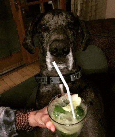 Watch Brit Sheridan's leaked NSFW photo on TwXstars