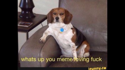 Watch Rick and Morty's leaked NSFW photo on TwXstars