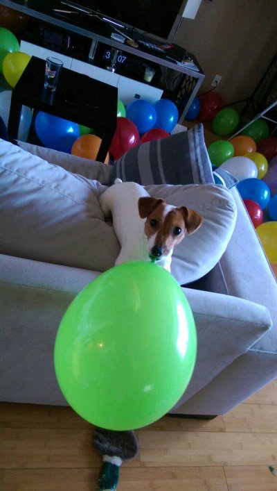 Watch Andrew Engen's leaked NSFW photo on TwXstars