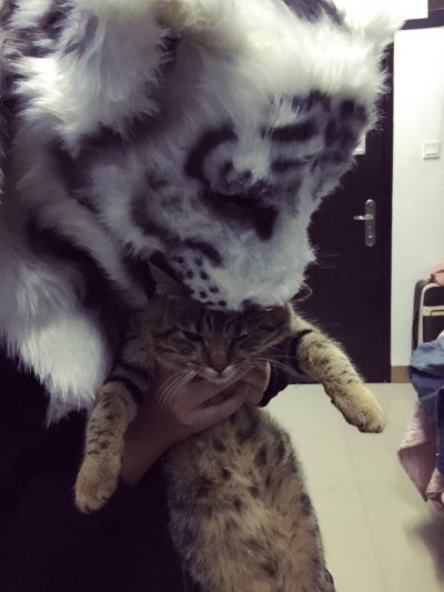 Watch Juanmao's leaked NSFW photo on TwXstars