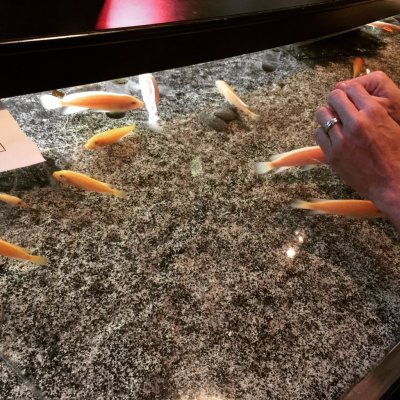 Watch Robert Vito's leaked NSFW photo on TwXstars