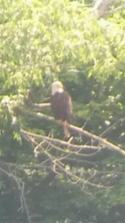 Watch Tony Stewart's leaked NSFW photo on TwXstars