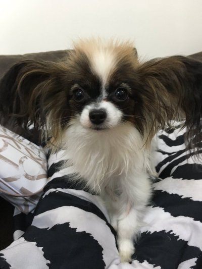 Watch Nicole Love's leaked NSFW photo on TwXstars