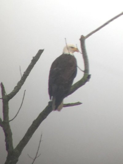 Watch Tony Stewart's leaked NSFW photo on TwXstars