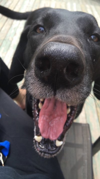 Watch Shelby's leaked NSFW photo on TwXstars