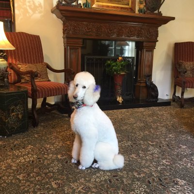 Watch ♕ Pia Mia's leaked NSFW photo on TwXstars