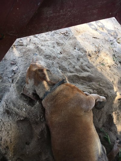 Watch JASON's leaked NSFW photo on TwXstars