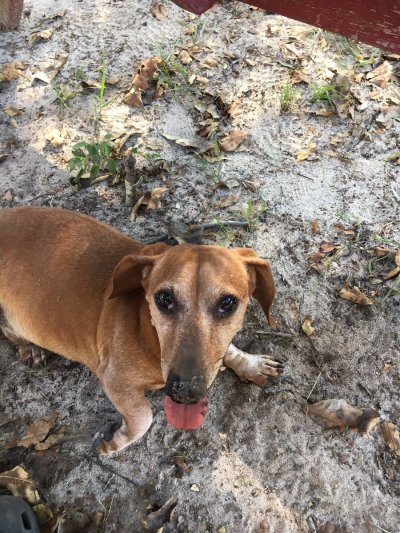 Watch JASON's leaked NSFW photo on TwXstars