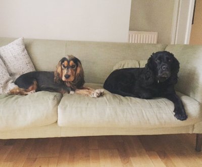 Watch Liam Murphy's leaked NSFW photo on TwXstars