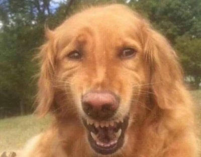 Watch AlmightyKennith's leaked NSFW photo on TwXstars