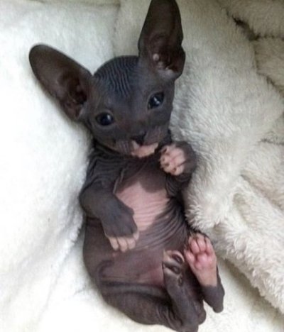 Watch Jessa Hinton's leaked NSFW photo on TwXstars