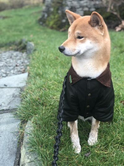 Watch Antonio's leaked NSFW photo on TwXstars