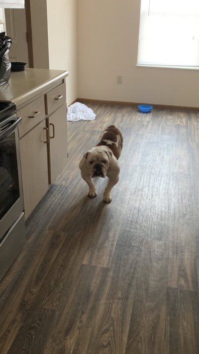 Watch Saleema 💖's leaked NSFW photo on TwXstars