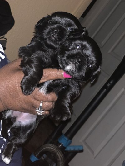 Watch ct.❤️'s leaked NSFW photo on TwXstars