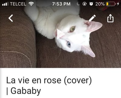 Watch gigardez's leaked NSFW photo on TwXstars