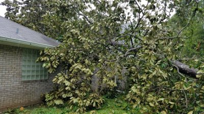 Watch stuffzplace's leaked NSFW photo on TwXstars