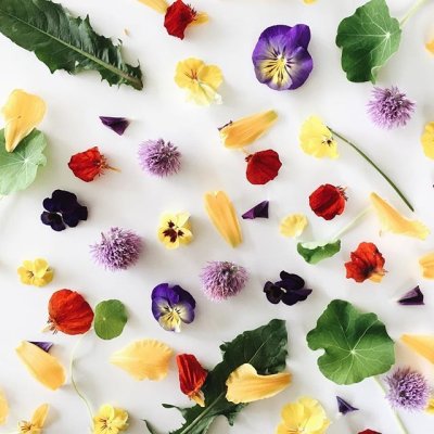 Watch Nicholas Alan's leaked NSFW photo on TwXstars