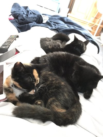 Watch GaldaLou🐐's leaked NSFW photo on TwXstars