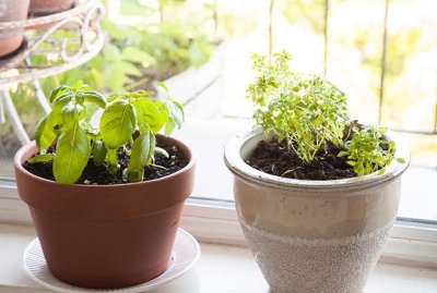 Watch Nicholas Alan's leaked NSFW photo on TwXstars