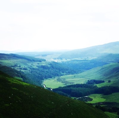 Watch DLS's leaked NSFW photo on TwXstars