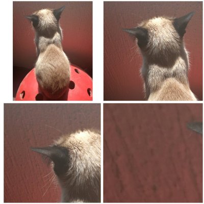 Watch Marcela Moss's leaked NSFW photo on TwXstars