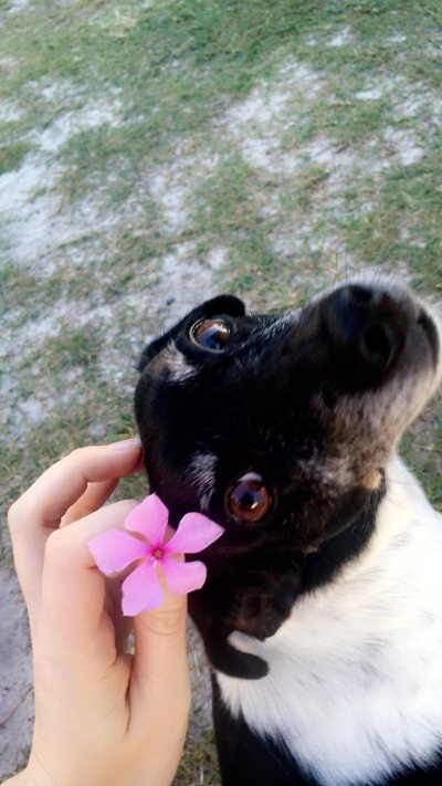 Watch heyimbee's leaked NSFW photo on TwXstars