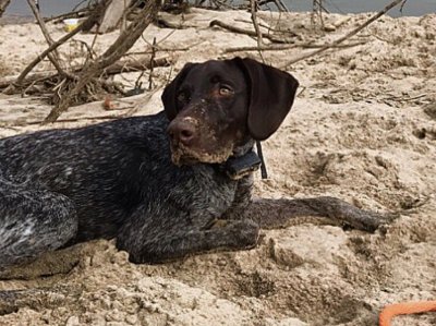 Watch Ally Lotti's leaked NSFW photo on TwXstars