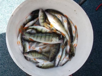 Watch Caroline Tosca's leaked NSFW photo on TwXstars