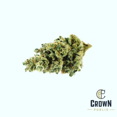 Watch Nicholas Alan's leaked NSFW photo on TwXstars